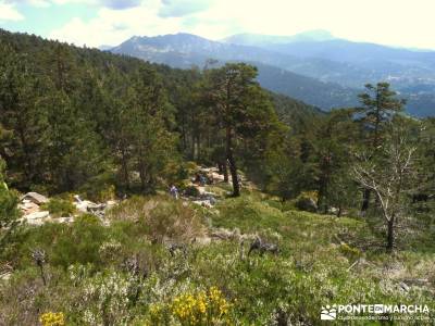 Peña Águila - DAS2015 - Federación Madrileña Montañismo; excursiones Madrid; senderistas;ruta s